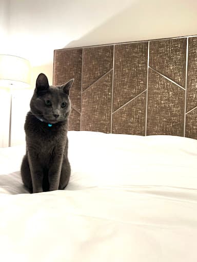 Hush Bedrooms — Customer photo
