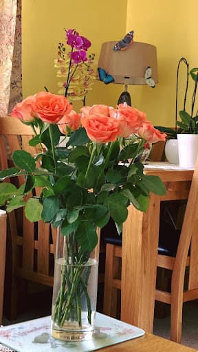Norwich Pine & Oak — Customer photo