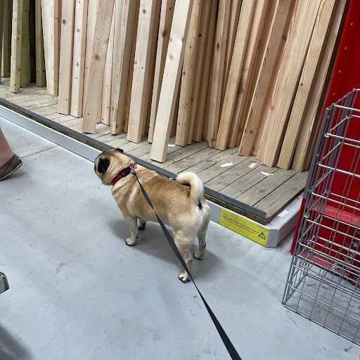 Wickes Sunderland — Customer photo